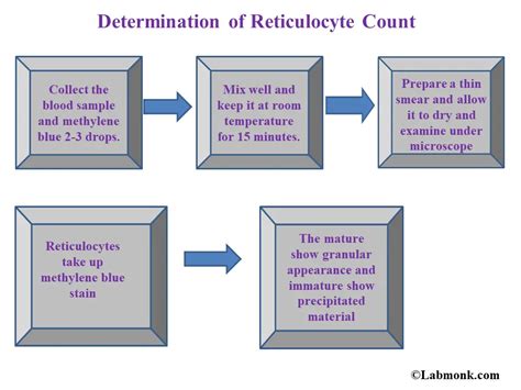 Determination of Reticulocyte Count - Labmonk