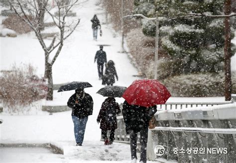 광주·전남 설 연휴 마지막날 많은 눈강추위도