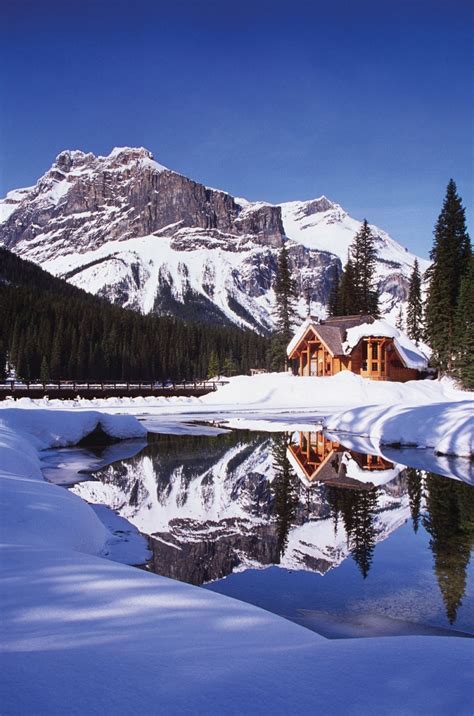 5 Luxurious Cabins in the Woods - Avenue Calgary