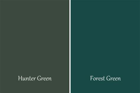 The Difference Between Hunter Green Vs Forest Green