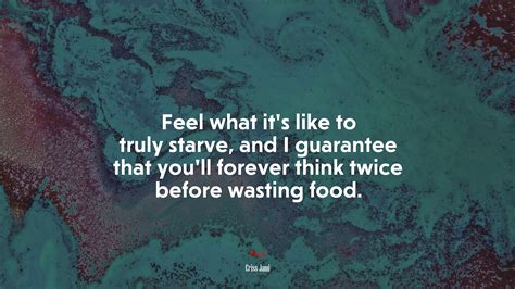 1920x1080 Dont Starve game, HD Wallpaper | Rare Gallery