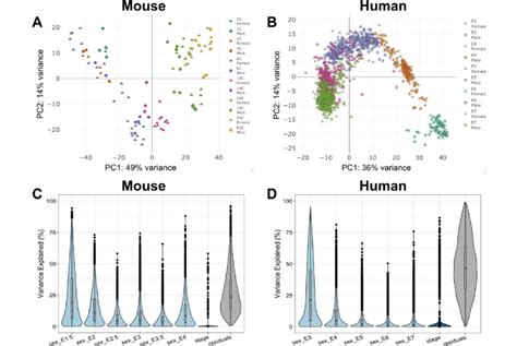 Contribution Of Stage And Sex To Total Gene Expression Variation In