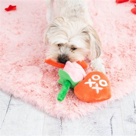 Yappy Valentine’s Dog Toy Set – Happy, healthy, humane.