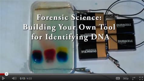 Forensic Science Forensic Science Project Science Project Ideas For