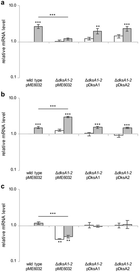 Expression Analysis Of Oxidative Stress Response Genes Bacterial Download Scientific Diagram