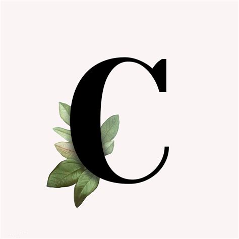 Botanical Capital Letter C Illustration Premium Image By