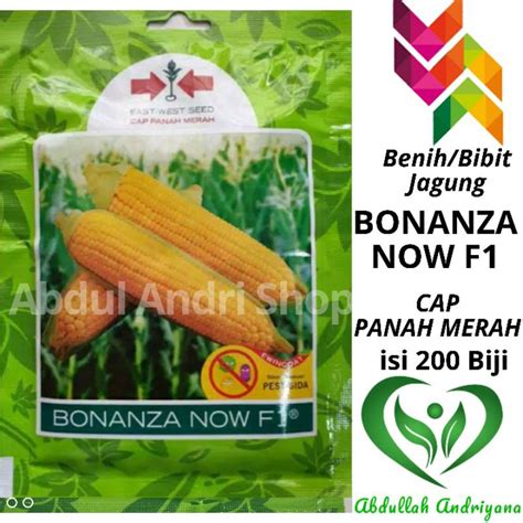 Jual Benih Jagung Manis Bonanza Now F Biji Bibit Jagungf Cap