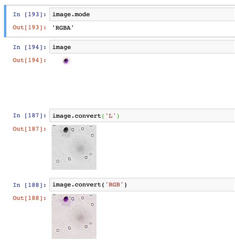 Python Losing Colors After Rotating An Rgba Image Using Pil Stack