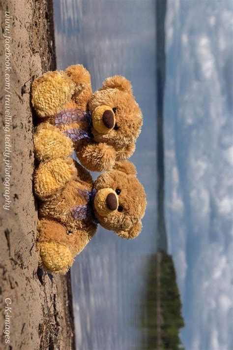 Épinglé par Melinda Botha sur Teddy Bears Ourson