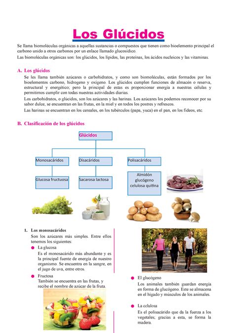 Los Gl Cidos Lectura Los Gl Cidos Se Llama Biomol Culas Org Nicas A