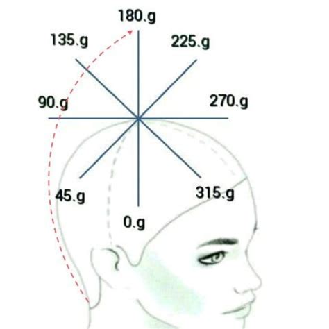 Guía De Grados Y Elevaciones Para Un Corte De Cabello Instituto