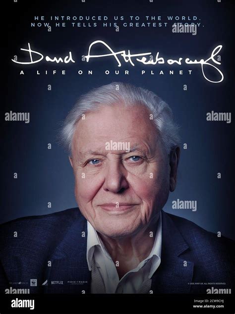 DAVID ATTENBOROUGH A LIFE ON OUR PLANET Poster David Attenborough