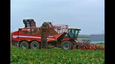 Rübenernte 2021 Grimme Rexor 6300 Platinum Grimme Rexor 620 Fendt