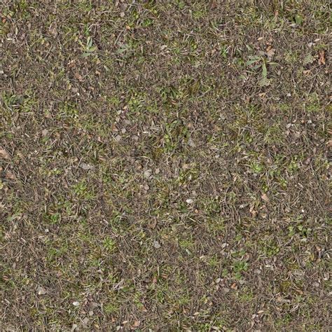 Forest Lawn With Green And Dry Grass Seamless Tileable Texture Stock