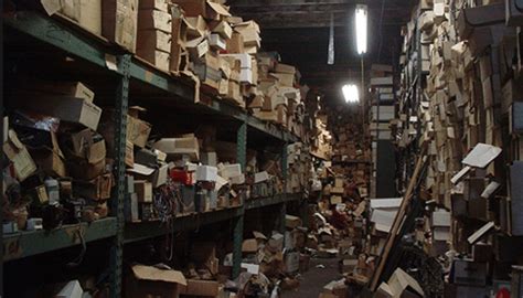 Warehouse chaos - Cane Toad Tough