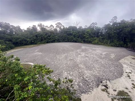 Spectacular Day Tabin Wildlife Safari Dive Into Malaysia