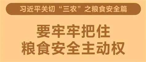 习近平关切“三农”之粮食安全篇：要牢牢把住粮食安全主动权 陈泽晋 段亚萍 吴辰章