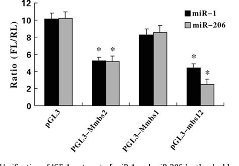 Figure 3 From Upregulated Expression Of Mir 1 Mir 206 In A Rat Model Of