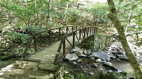 Rose River Falls: A Waterfall Hike + Dreamy Swimming Hole