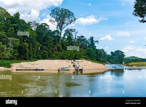 Pahang Malaysia May Tourists Enjoying Kuala Tahan Jetty