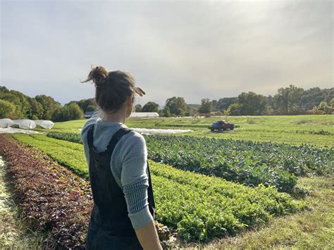 Ten Years Of Root Farm And Looking Foward To The Future Farm