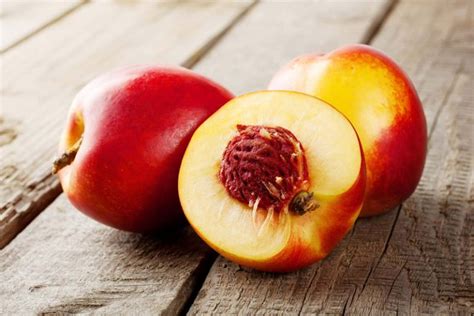 Nectarine - Definition of Nectarine