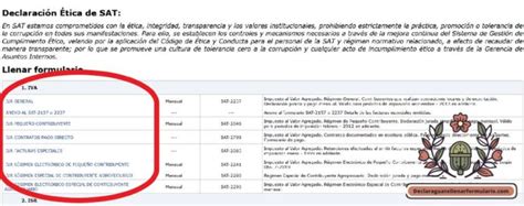 Declaraguate Como Acceder Y Llenar Tus Formularios Guia Paso A Paso Declaraguate