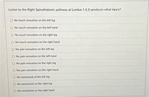 Solved Lesion to the Right Spinothalamic pathway at Lumbar 1 | Chegg.com | Chegg.com