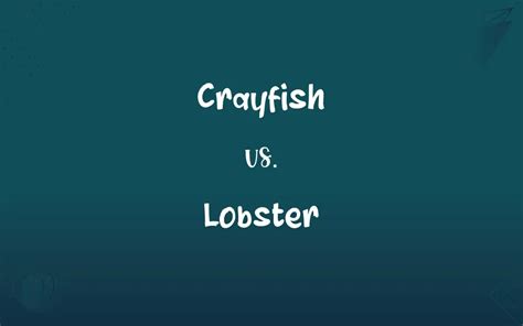 Crayfish vs. Lobster: What’s the Difference?