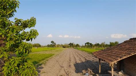 Prakiraan Cuaca Hari Ini Untuk Wilayah Kota Banjar Dan Sekitarnya