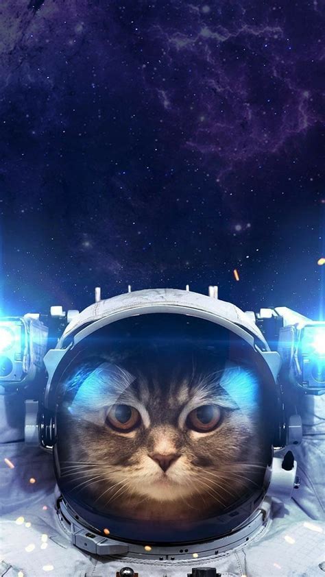 Astronaut Cat Wallpaper