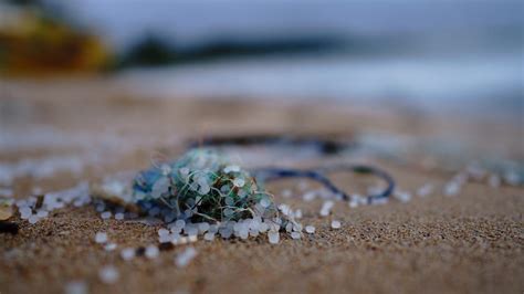 Bahaya Mikroplastik Pada Kesehatan Manusia Peradangan Hingga Kanker