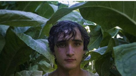 Lazzaro Felice La Storia Vera Che Ha Ispirato Il Film CultWeb It