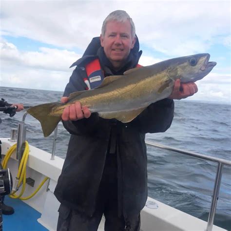 Plenty Of Pollack Pouting And More For Galway Bay Anglers Fishing In