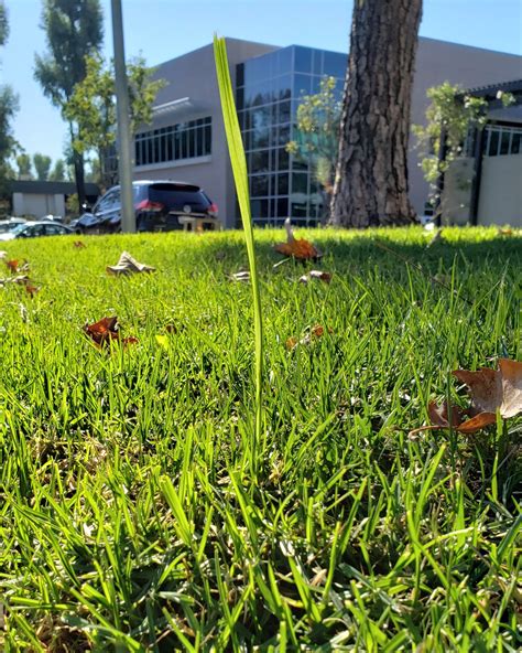 Defy the odds : r/inspiration