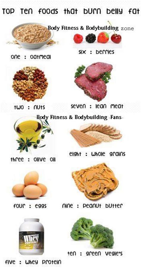 Balanced Diet | Bodybuilding and Fitness Zone