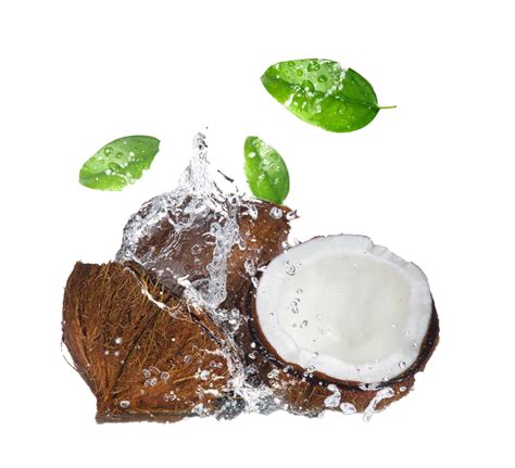 Coconut Png Transparent Images Pictures Photos Png Arts