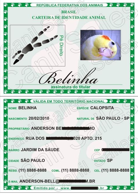 Carteira De Identidade Para Cachorro