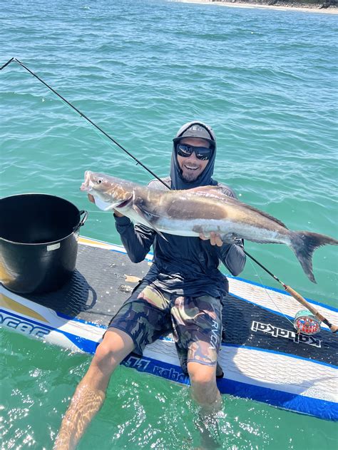 Angler Story Of The Week Stand Up Paddle Board Fishing For Cobia