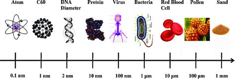 A Basic Concept On Length Scale That Is Showing Size Of Nanomaterials