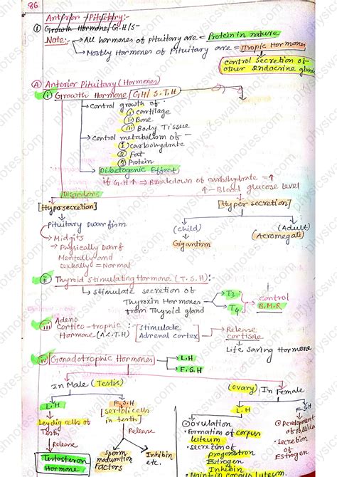 Solution Chemical Coordination And Integration Class Biology