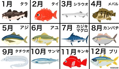 Wabi Sabi On Twitter 【旬の魚図鑑】春夏秋冬、季節によって食べごろを迎える魚を一挙紹介