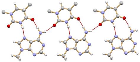 Hydrogen Bonding Pattern In The Co Crystal Of Methyl Adenine And