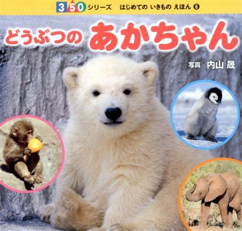 楽天ブックス どうぶつのあかちゃん 内山晟 9784591144305 本