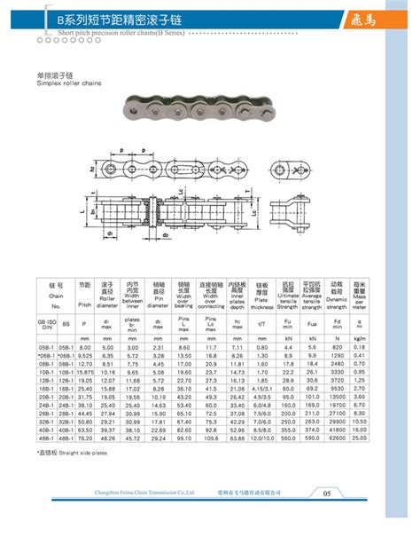 B系列短节距精密滚子链 B系列短节距精密滚子链 链条链轮输送链 常州市飞马链传动有限公司