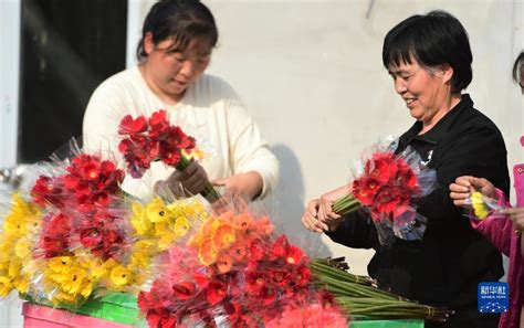 冬日大棚鲜花开新闻中心中国网