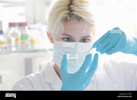 Scientist Examining Petri Dish In Lab Stock Photo Alamy