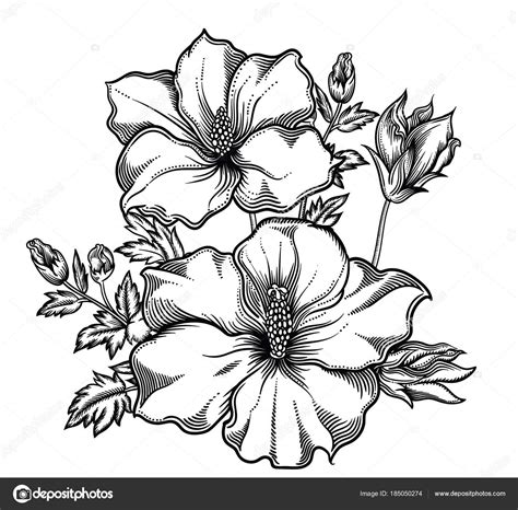 Vector Flores Dibujo Flor Flores Exóticas Detallada Mano Dibujado Dibujos De Colorear