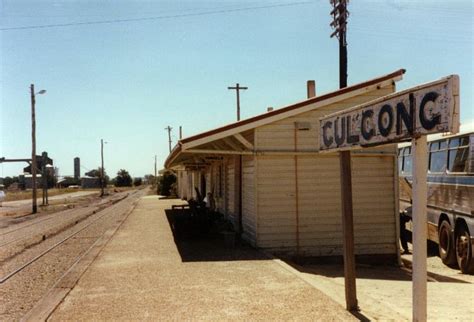 Gulgong Station