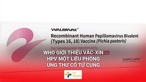 Tin Vui WHO Giới Thiệu Vắc xin HPV Một Liều Phòng Ung Thư Cổ Tử Cung